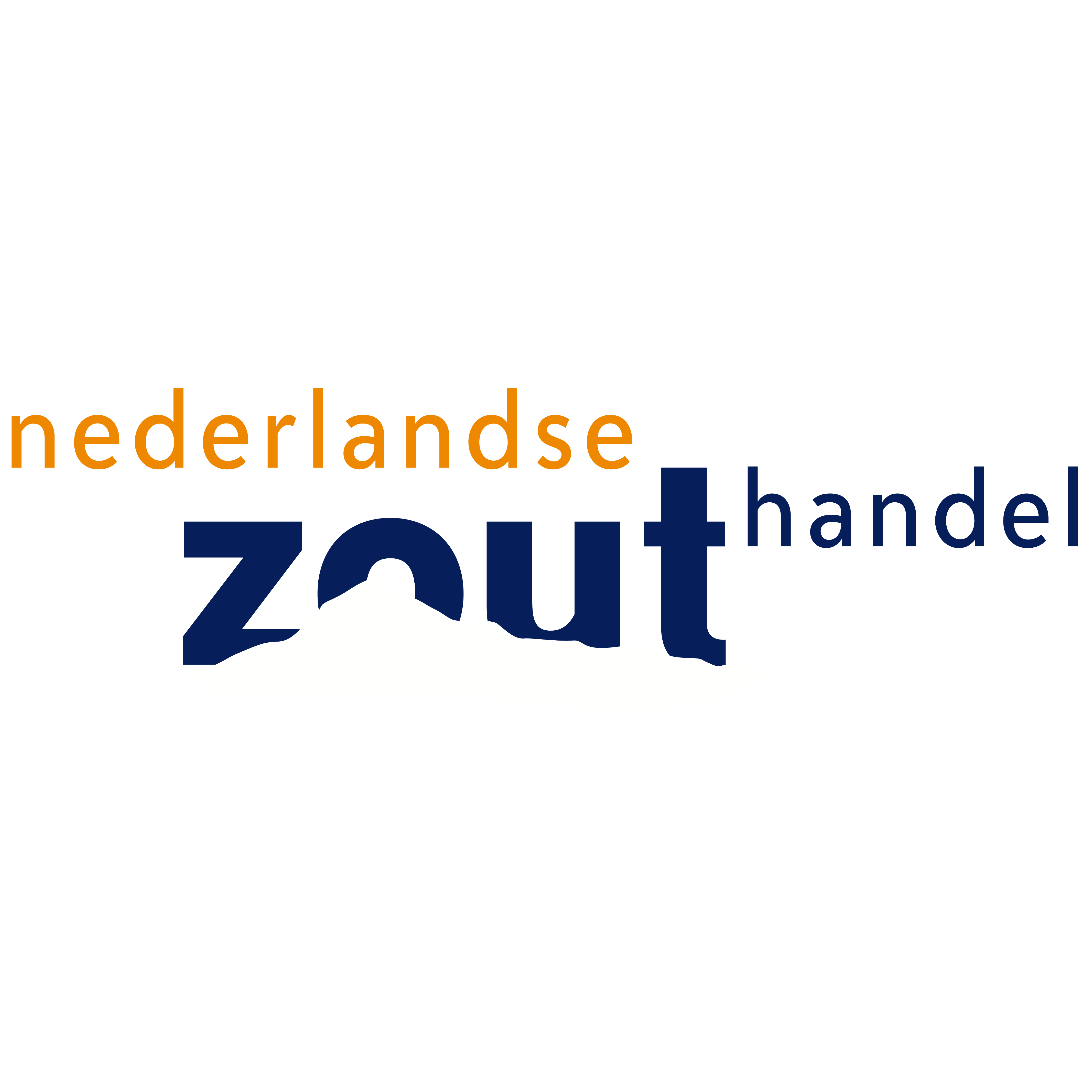 Logo Nederlandse zouthandel