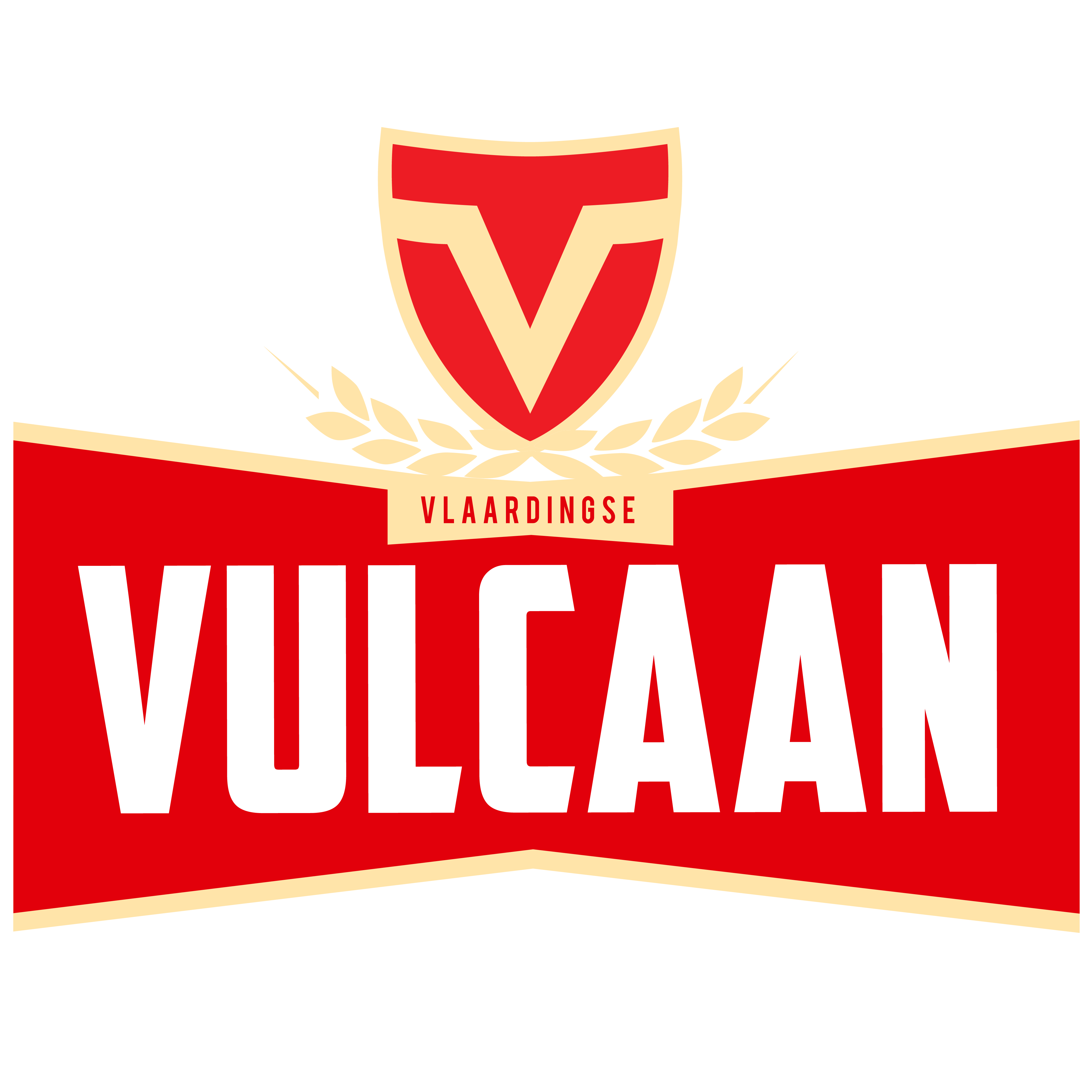 Logo Vulcaan